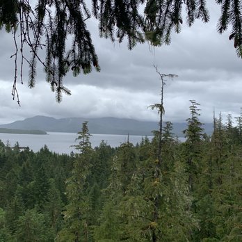 Alaska Canopy Adventures - Views - Tours Near Me - Ketchikan, Alaska Alaska Canopy Adventures - Views - Tours Near Me - Ketchikan, Alaska