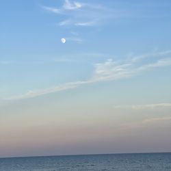 Cruisin' the coast