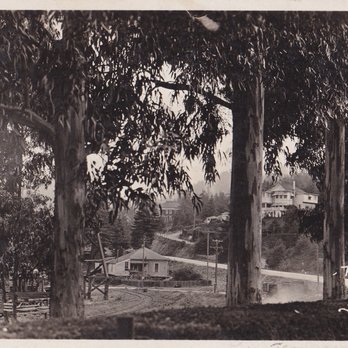 Scotia Museum - The Terrace scotia 1925 - Museums Near Me - Scotia, California