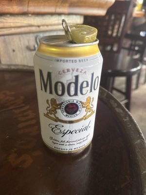 Spring Lounge by null