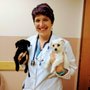 West Mountain Animal Hospital