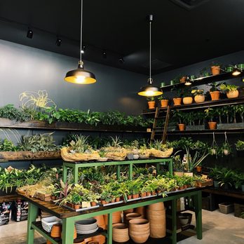 Chlorophyll by Kinghorn Gardens - Love this spot! - Nurseries & Gardening Near Me - Omaha, Nebraska