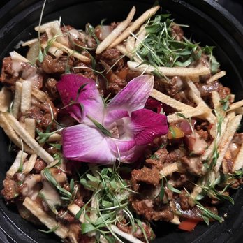 El Patio Bar and Grill - Asian Fusion Near Me - Raleigh, North Carolina El Patio Bar and Grill - Asian Fusion Near Me - Raleigh, North Carolina