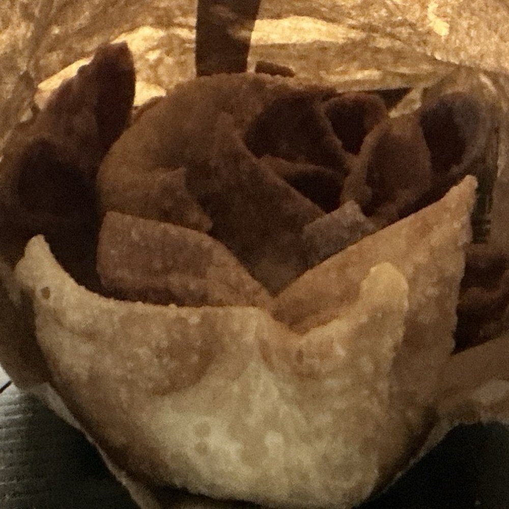 Yumi's kitchen - 8 Piece Fried Wontons - Asian Fusion Near Me - Albuquerque, New Mexico Yumi's kitchen - 8 Piece Fried Wontons - Asian Fusion Near Me - Albuquerque, New Mexico