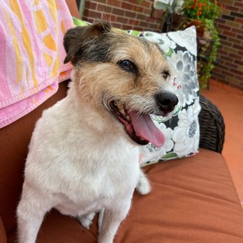 Petco - Pet Stores Near Me - Clive, Iowa Petco - Pet Stores Near Me - Clive, Iowa