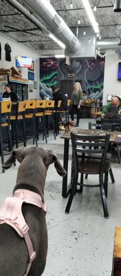 False Idol Brewing by null