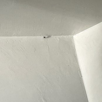 Como - Spiders and spider nests in dining area - Italian Near Me - Kirkland, Washington Como - Spiders and spider nests in dining area - Italian Near Me - Kirkland, Washington