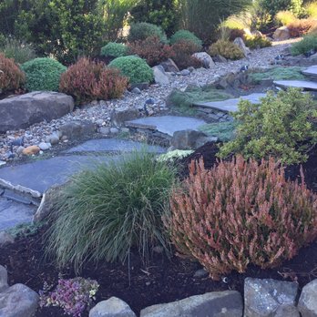 Coyote Gardens - Landscaping Near Me Coyote Gardens - Landscaping Near Me