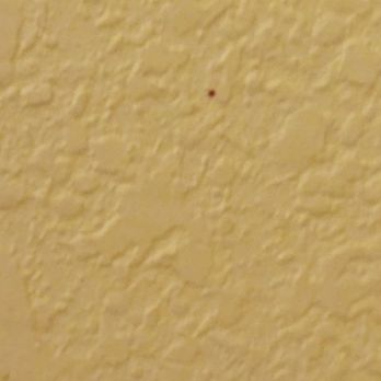 Rodeway Inn Miami I-95 - Blood on walls - Hotels Near Me - Miami, Florida Rodeway Inn Miami I-95 - Blood on walls - Hotels Near Me - Miami, Florida