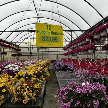 Pinters Plants & Produce - Florists Near Me - Belleville, Michigan Pinters Plants & Produce - Florists Near Me - Belleville, Michigan