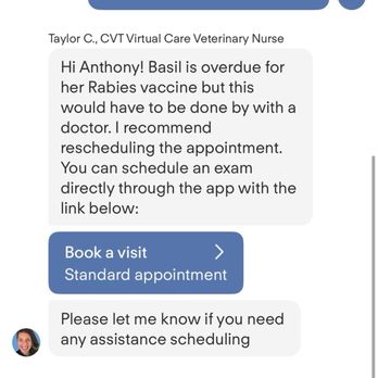 Modern Animal Lakewood - Bad AI response loop - Veterinarians Near Me - Dallas, Texas