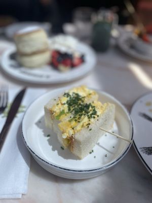 Morning Glory by null