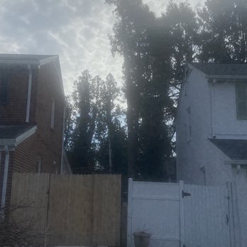 All The Above Tree Service - Tree Services Near Me - Bensalem, Pennsylvania