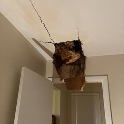 Terrace View Apartments - Ceiling fallen down