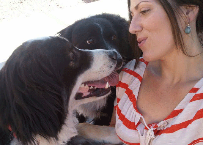 Paws Pet Services - pet boarding facility in Las Vegas, NV