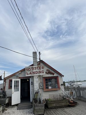 Lobster Landing by null