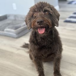 After being groomed After being groomed