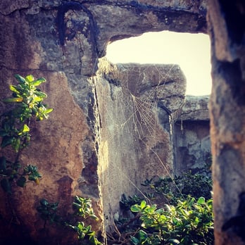Sutro Baths - I don't like spiders, but their webs make for insanely cool pictures at these ruins. - Beaches Near Me - San Francisco, California
