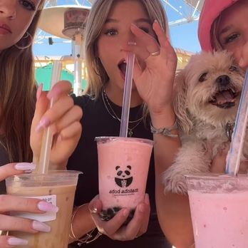 Matcha Boba - Bubble Tea Near Me - Thousand Oaks, California Matcha Boba - Bubble Tea Near Me - Thousand Oaks, California