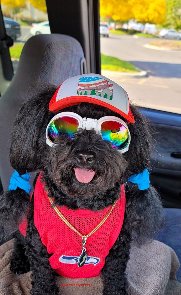 Slide of Bulldog Rooter