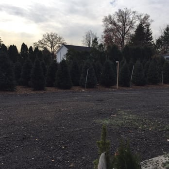 Lucente Nursery - Plentiful selection of trees - Nurseries & Gardening Near Me - New Rochelle, New York Lucente Nursery - Plentiful selection of trees - Nurseries & Gardening Near Me - New Rochelle, New York