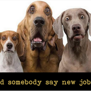 PrideStaff - Employment Agencies Near Me - Melville, New York PrideStaff - Employment Agencies Near Me - Melville, New York