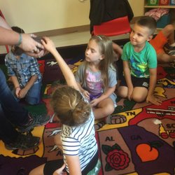 Reptiles show