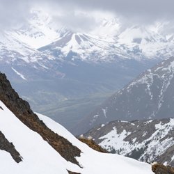 Hope Point Trail - Mountain goat friends!