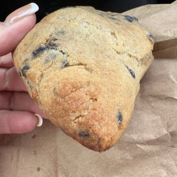 Wicked Voodoo Espresso - Blueberry scone - Coffee & Tea Near Me - San Antonio, Texas