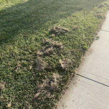 Munie Greencare Professionals - Irrigation Near Me - Caseyville, Illinois