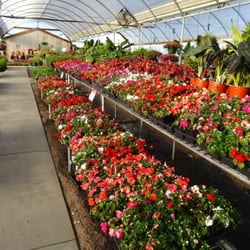Des' Veggies Nursery & Garden Center