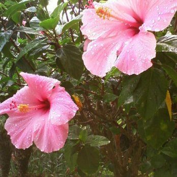 Jupiter Lawn Care - Landscaping Near Me Jupiter Lawn Care - Landscaping Near Me