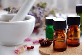 Paloma Wellness Studio