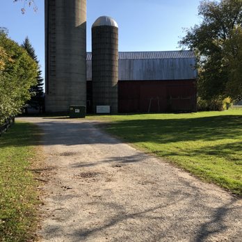 Great Lakes Rabbit Sanctuary - Pet Adoption Near Me