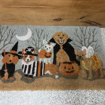 Clear Creek Pet Supplies - Pet Stores Near Me - Providence, Kentucky