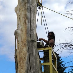 Capital Tree Service - Hazardous Tree Removal, Santa Fe, NM