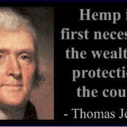 Hemp Haven San Antonio