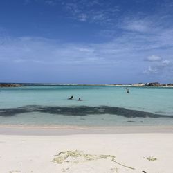 All In Travel Team - Baby Beach, Aruba.