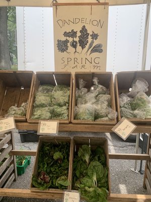 Portland Farmers' Market by null