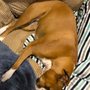Photo of Tender Paws Animal Hospital