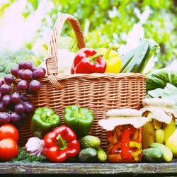 Bridge to Wellness