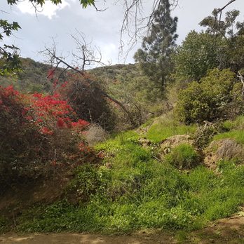 Mt. Hollywood Trail - Hiking Near Me - Los Angeles, California Mt. Hollywood Trail - Hiking Near Me - Los Angeles, California