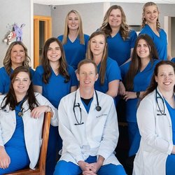 Rogers Pet Clinic