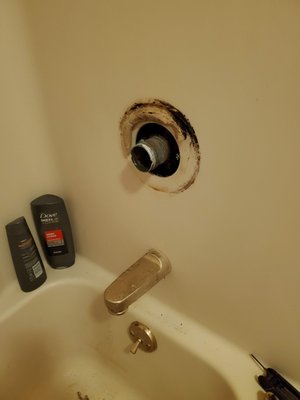 Does It All Fix & Install Logo