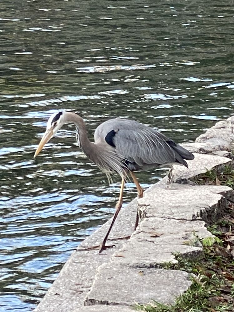 Slide of Paradise Island Services