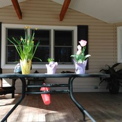 Produce Junction - Spring flowers 3 for $5