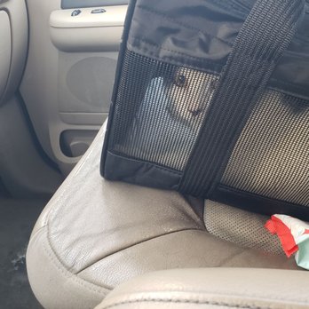 Village West Veterinary - On way to laser - Veterinarians Near Me - Chicago, Illinois Village West Veterinary - On way to laser - Veterinarians Near Me - Chicago, Illinois
