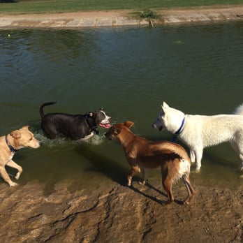 Kitty Hollow Park - They love the water - Parks Near Me - Missouri City, Texas Kitty Hollow Park - They love the water - Parks Near Me - Missouri City, Texas