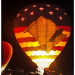 Festival of Flight - We the people balloon
