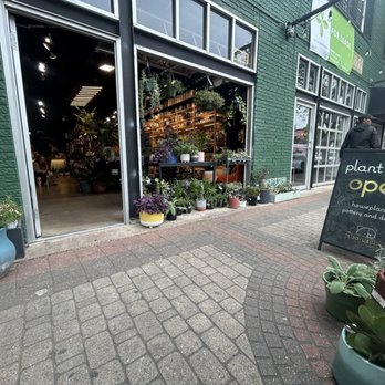 Fibonacci Plants - I'm obsessed with this store - Nurseries & Gardening Near Me - Dallas, Texas